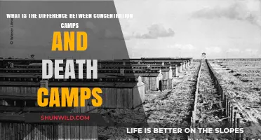 Concentration Camps vs. Death Camps: Understanding the Historical Differences