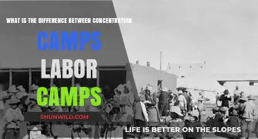 Concentration Camps vs. Labor Camps: Understanding the Key Differences