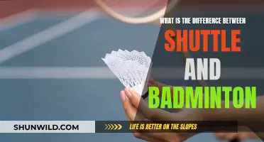 Shuttlecock and Badminton: What's the Real Difference?