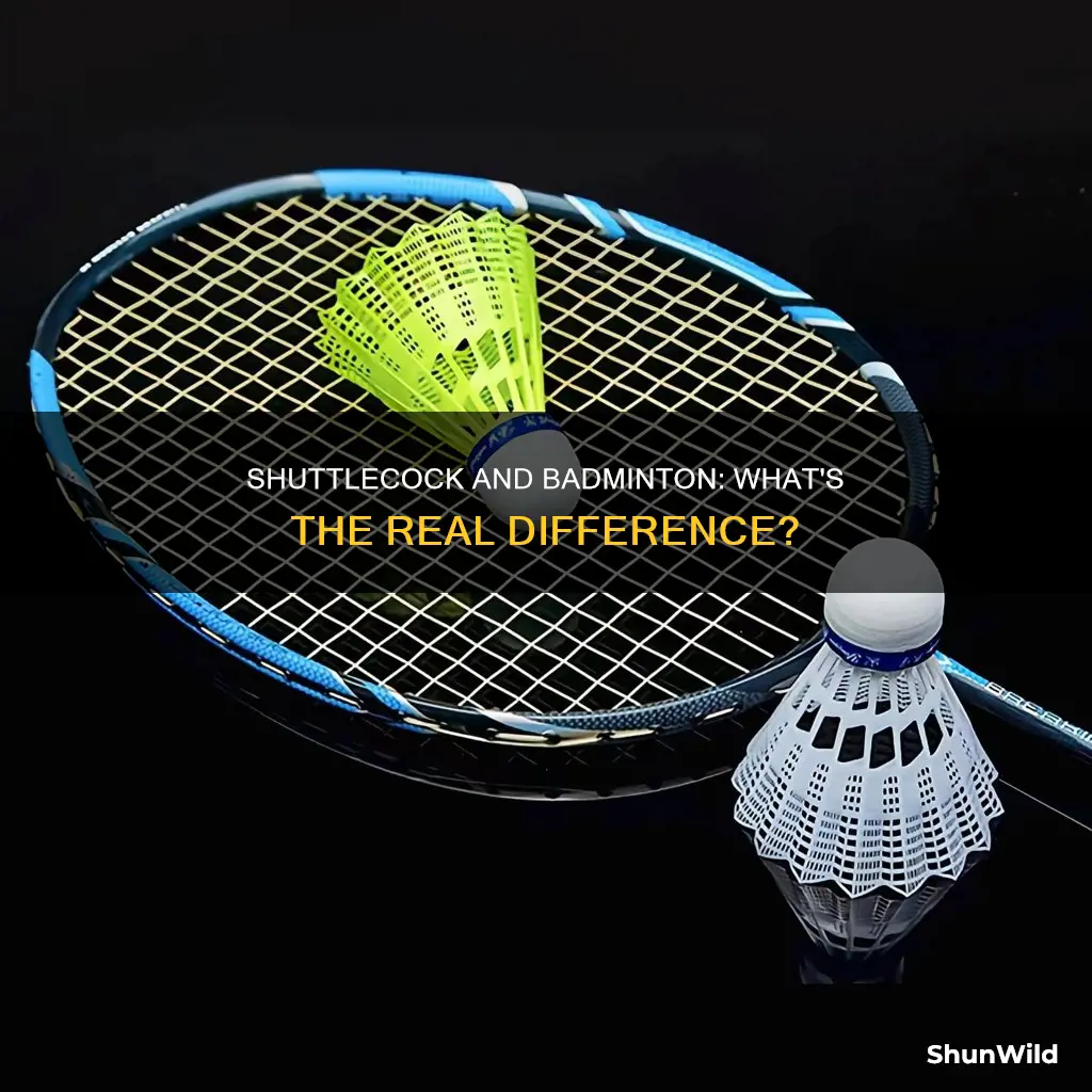 what is the difference between shuttle and badminton