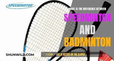 Speedminton vs Badminton: What's the Real Difference?