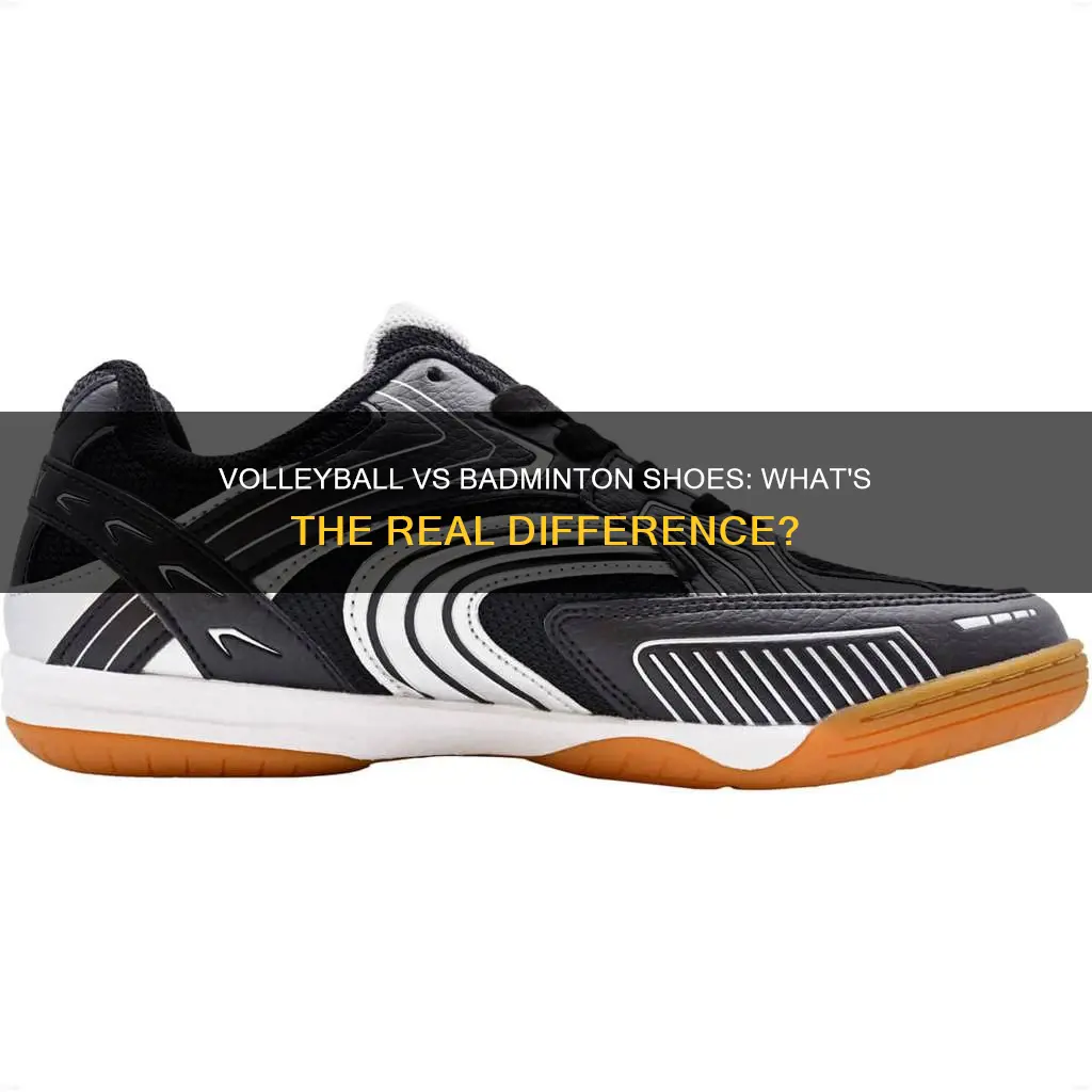 what is the difference between volleyball shoes and badminton shoes