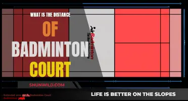 Badminton Court Distance: Know the Standard Measurements