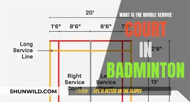The Badminton Double Service Court: Rules and Strategies