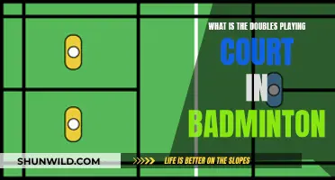 Badminton Doubles: Understanding the Court