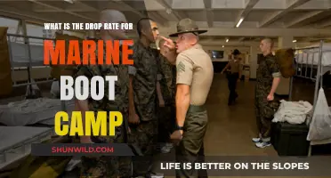 Marine Boot Camp Drop Rate: Understanding Attrition and Completion Rates