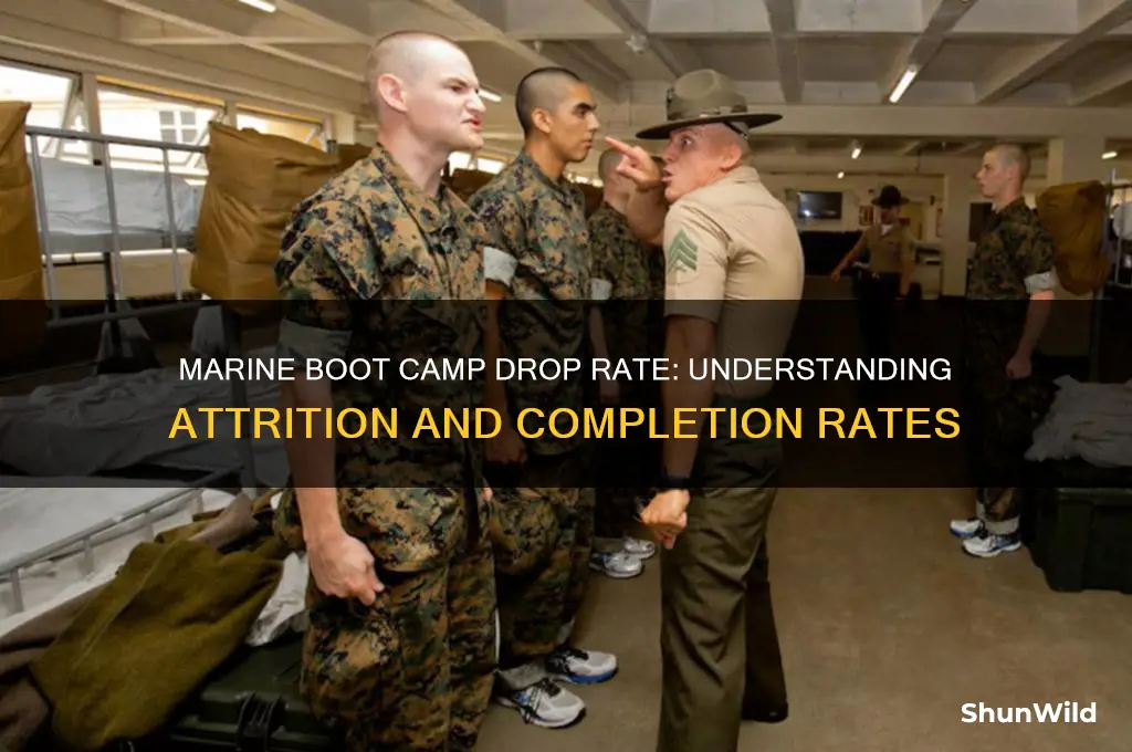 what is the drop rate for marine boot camp