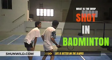 Drop Shots: A Badminton Player's Secret Weapon