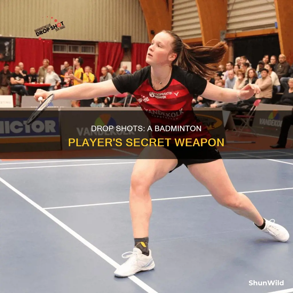 what is the drop shot in badminton