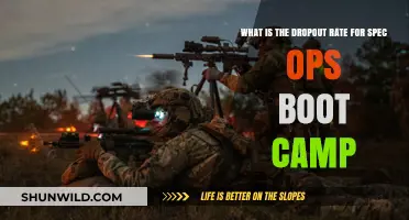 Understanding the Dropout Rate in Spec Ops Boot Camp Training