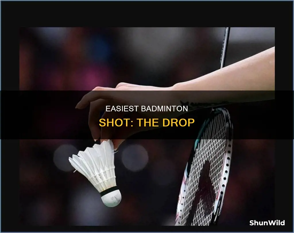 what is the easiest shot in badminton