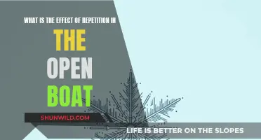 Repetition's Impact in "The Open Boat": A Study