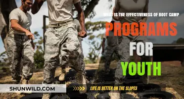 Evaluating Boot Camp Programs: Impact on Youth Behavior and Rehabilitation