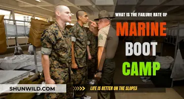 Marine Boot Camp Failure Rate: Understanding the Challenges and Realities