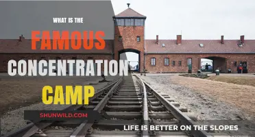Unveiling the Infamous Auschwitz Concentration Camp: A Historical Overview