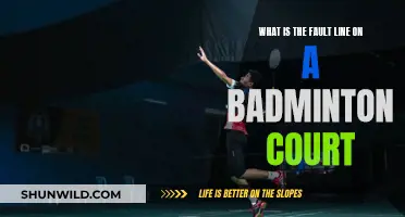 Badminton Fault Line: Understanding the Court's Critical Line
