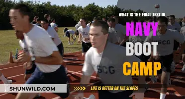 Navy Boot Camp's Final Test: What to Expect and How to Prepare