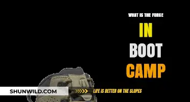 Understanding the Forge: Boot Camp's Intense Physical Training Explained