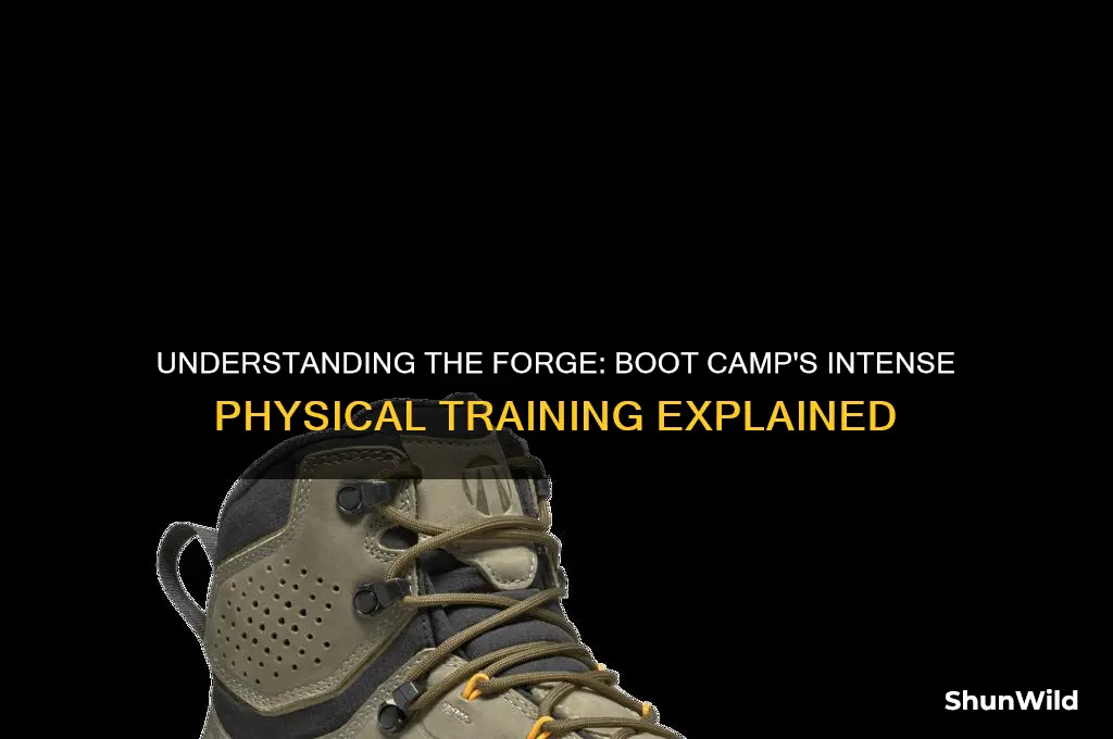 what is the forge in boot camp