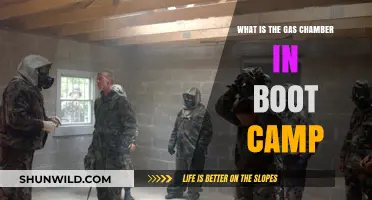 Understanding the Gas Chamber Experience in Military Boot Camp Training