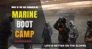 Understanding the Gas Chamber Experience in Marine Boot Camp Training