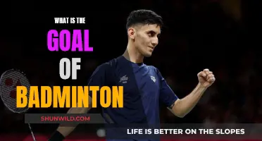 Badminton: Aim to Win