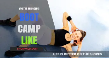 Gold's Boot Camp: Intense Workouts, Transformative Results, and Real Experiences