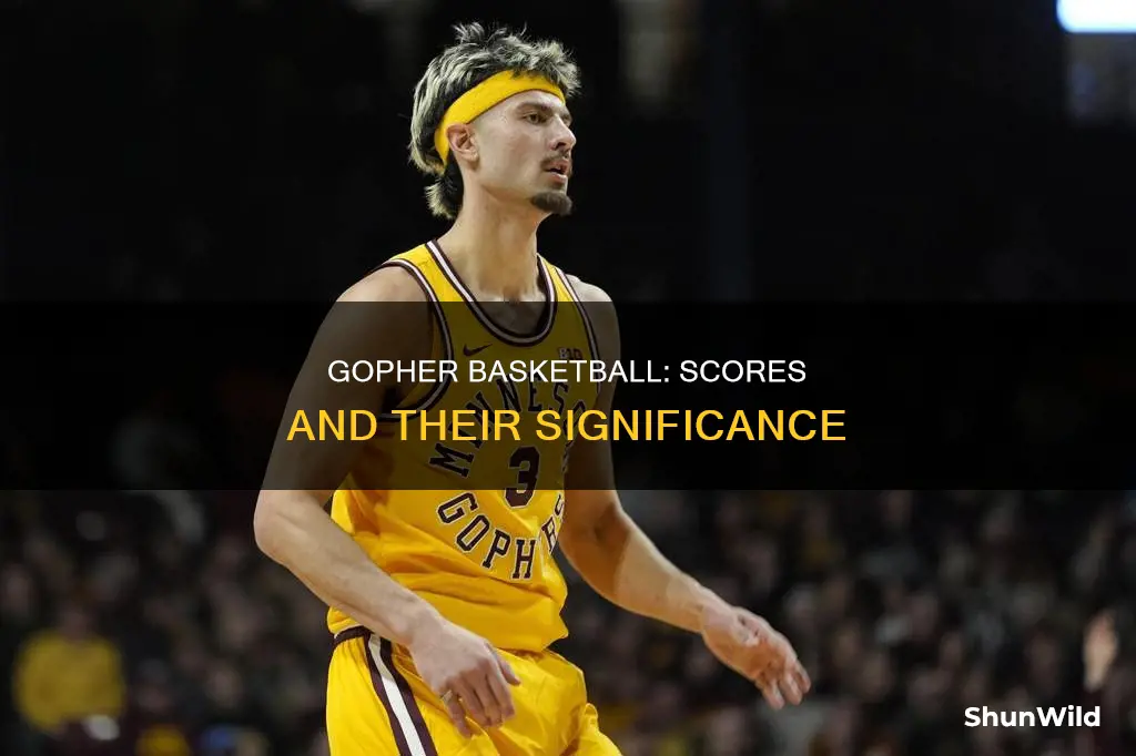 what is the gopher basketball score