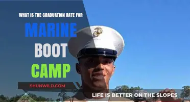 Marine Boot Camp Graduation Rate: What Percentage Complete Training?