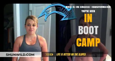 Boot Camp Transformations: Witnessing Life-Changing Growth and Resilience