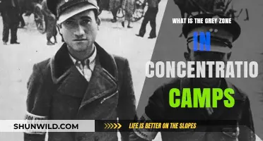 Understanding the Grey Zone: Ambiguity and Survival in Concentration Camps