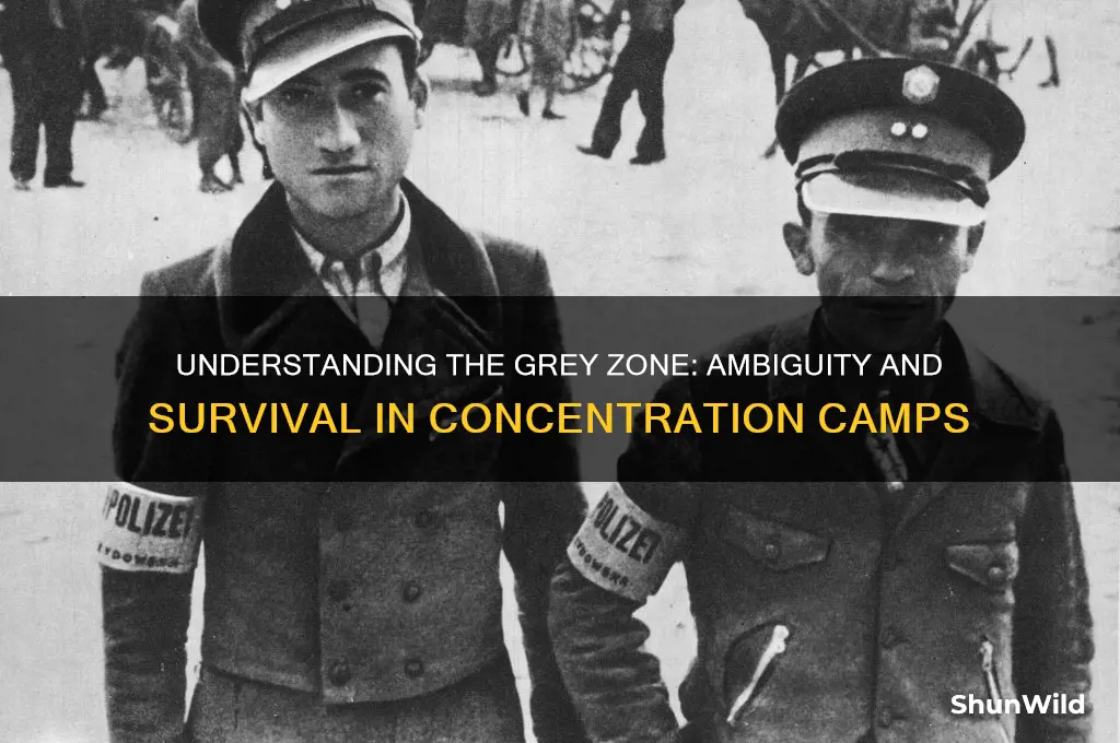what is the grey zone in concentration camps