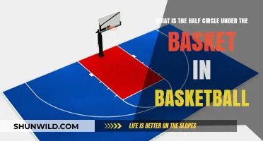 The Restricted Zone: Half-Circle Under the Basketball Hoop
