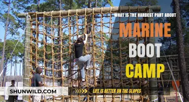 Surviving Marine Boot Camp: Uncovering the Toughest Mental and Physical Challenges