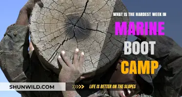 Surviving Hell Week: The Toughest Challenge in Marine Boot Camp