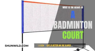 Badminton Court Heights: Know the Exact Measurements
