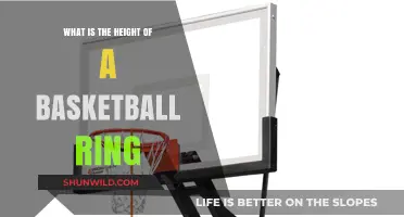 The Perfect Height: Basketball Rim Regulations