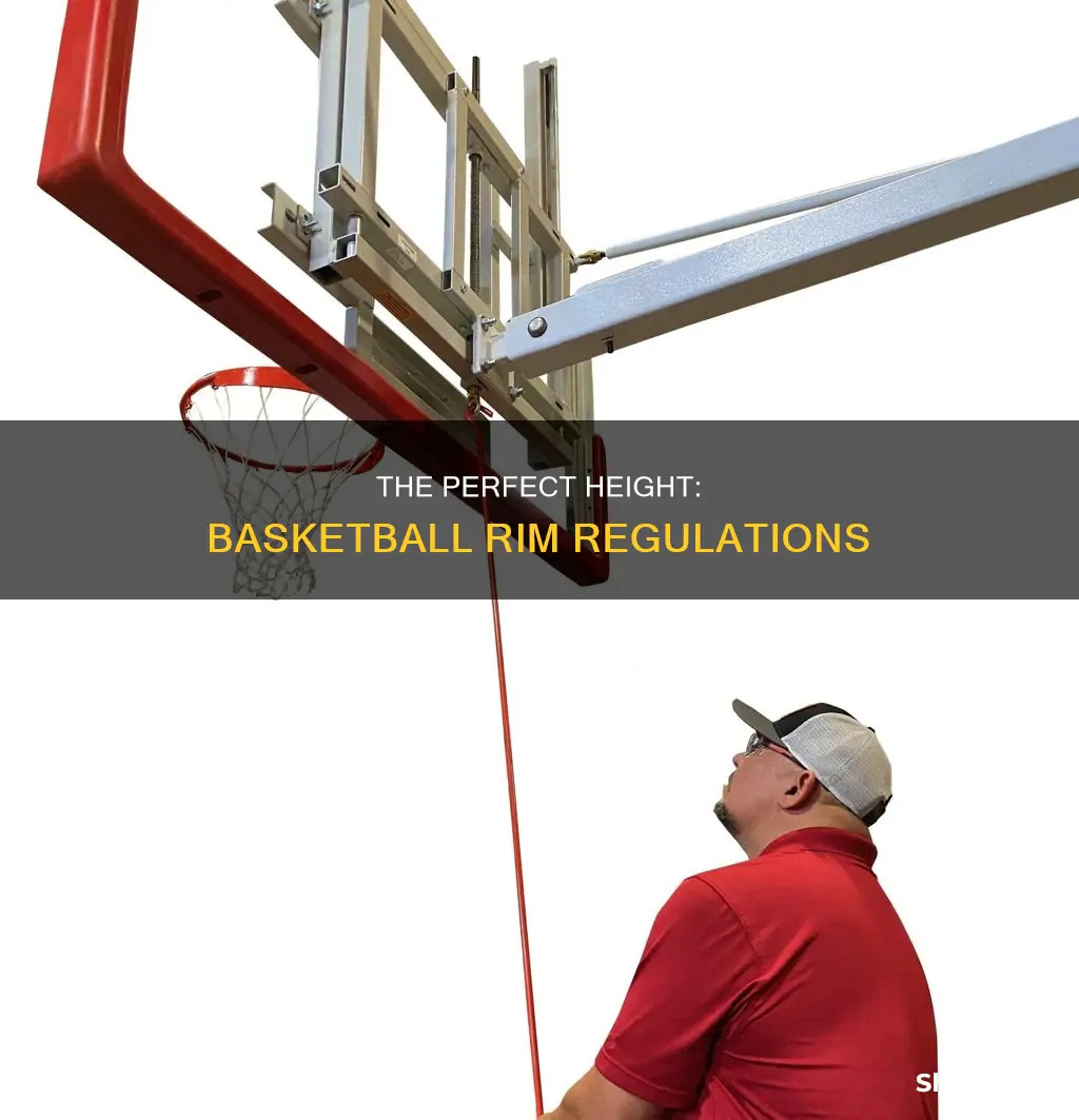 what is the height of a basketball ring