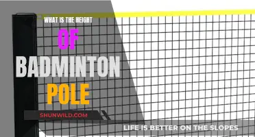 Badminton Poles: Know the Standard Height