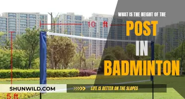 Badminton Post Height: Know the Standard Measurements
