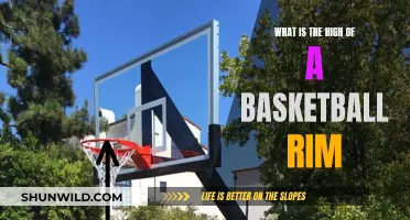 Rim Height: Standardizing Basketball Rim Heights for Fair Play