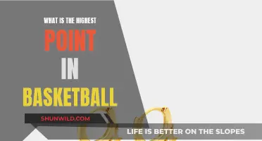 The Sky's Peak: Unveiling the Highest Point in Basketball