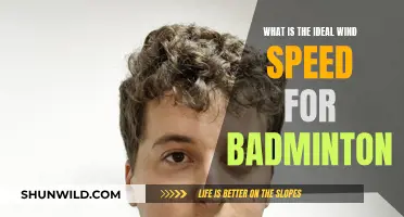Wind Speed for Badminton: How Much is Too Much?