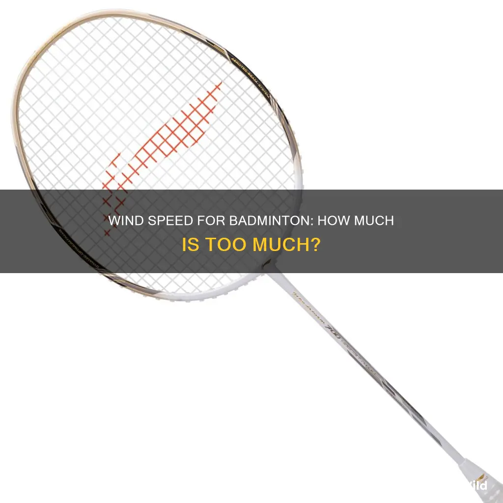 what is the ideal wind speed for badminton