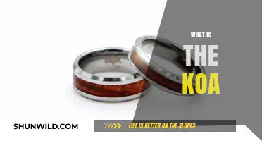 Understanding Koa: A Comprehensive Guide to Its Uses and Benefits