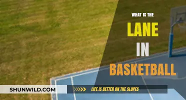 Understanding Basketball Lanes: Strategies and Rules