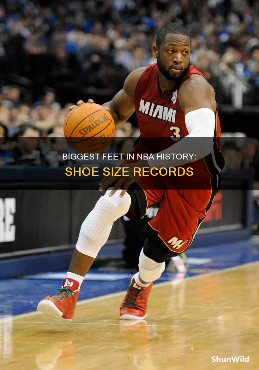 what is the largest basketball shoe size in nba history
