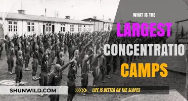 Exploring the Largest Concentration Camps in History: A Dark Legacy