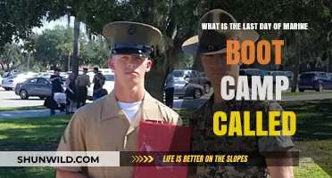 The Final Day of Marine Boot Camp: What's It Called?