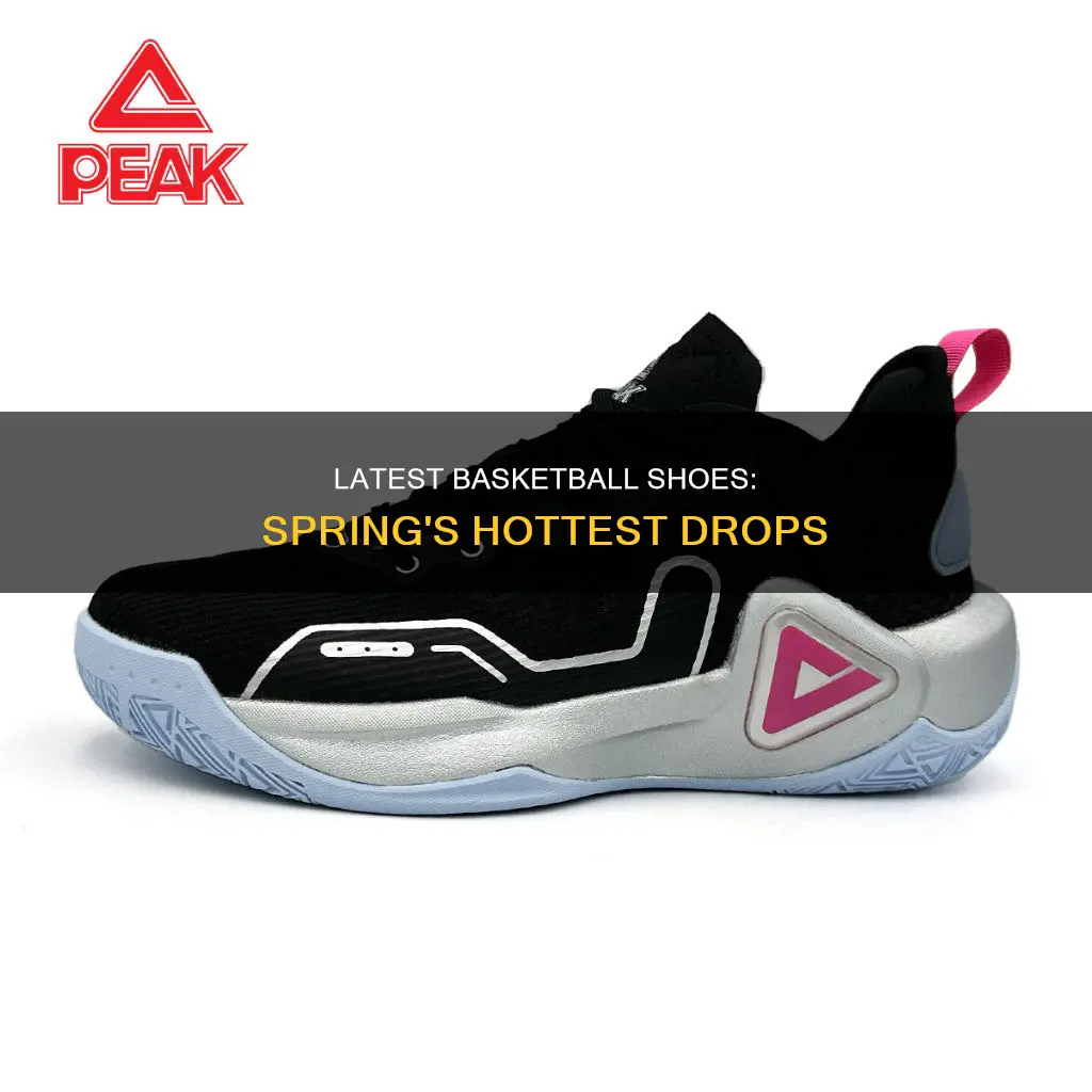 what is the latest basketball shoes